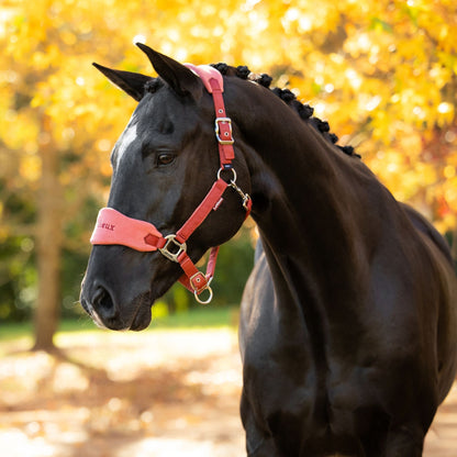 LeMieux Vogue Headcollar and Leadrope