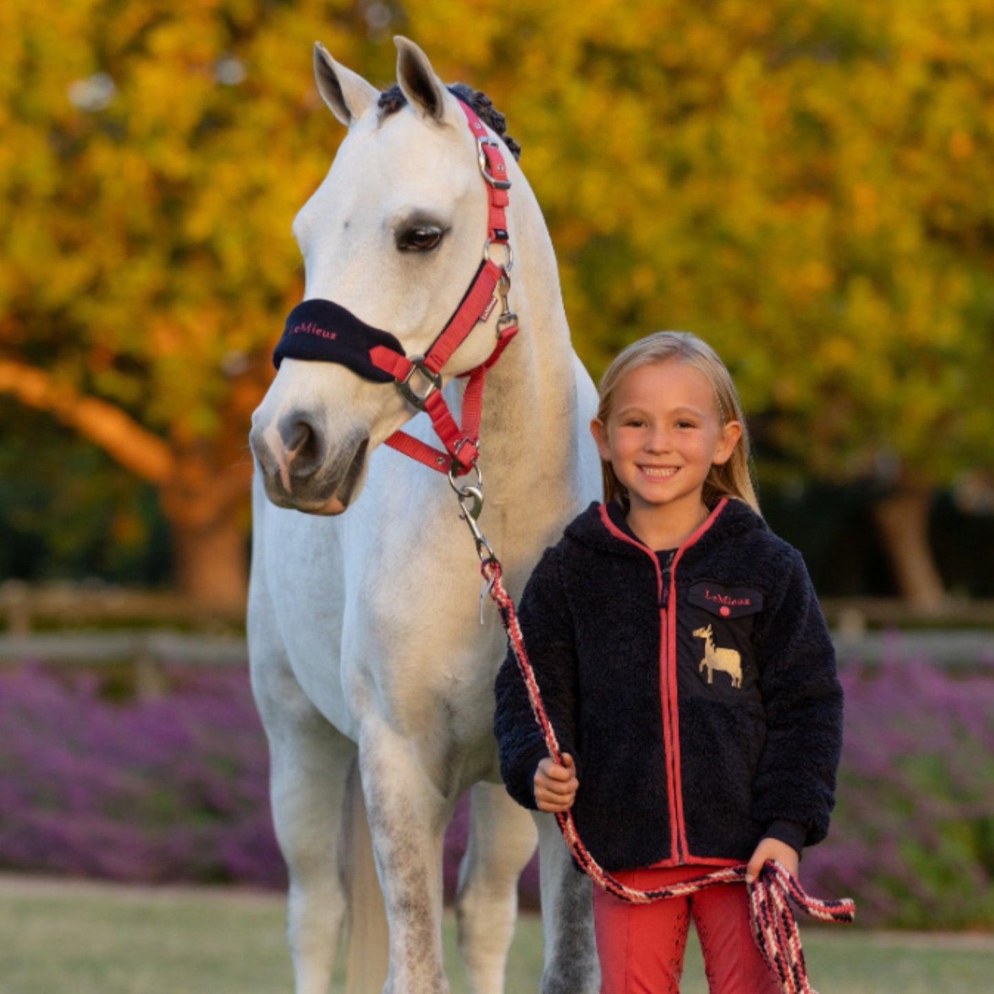 LeMiuex Vogue Headcollar and Leadrope