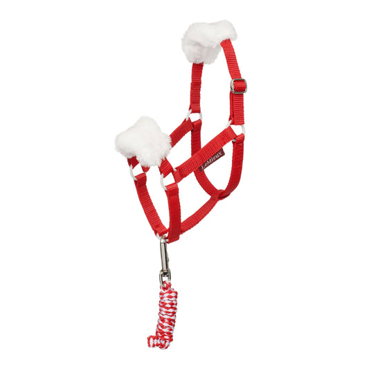 LeMieux Hobby Horse Christmas Headcollar and Leadrope