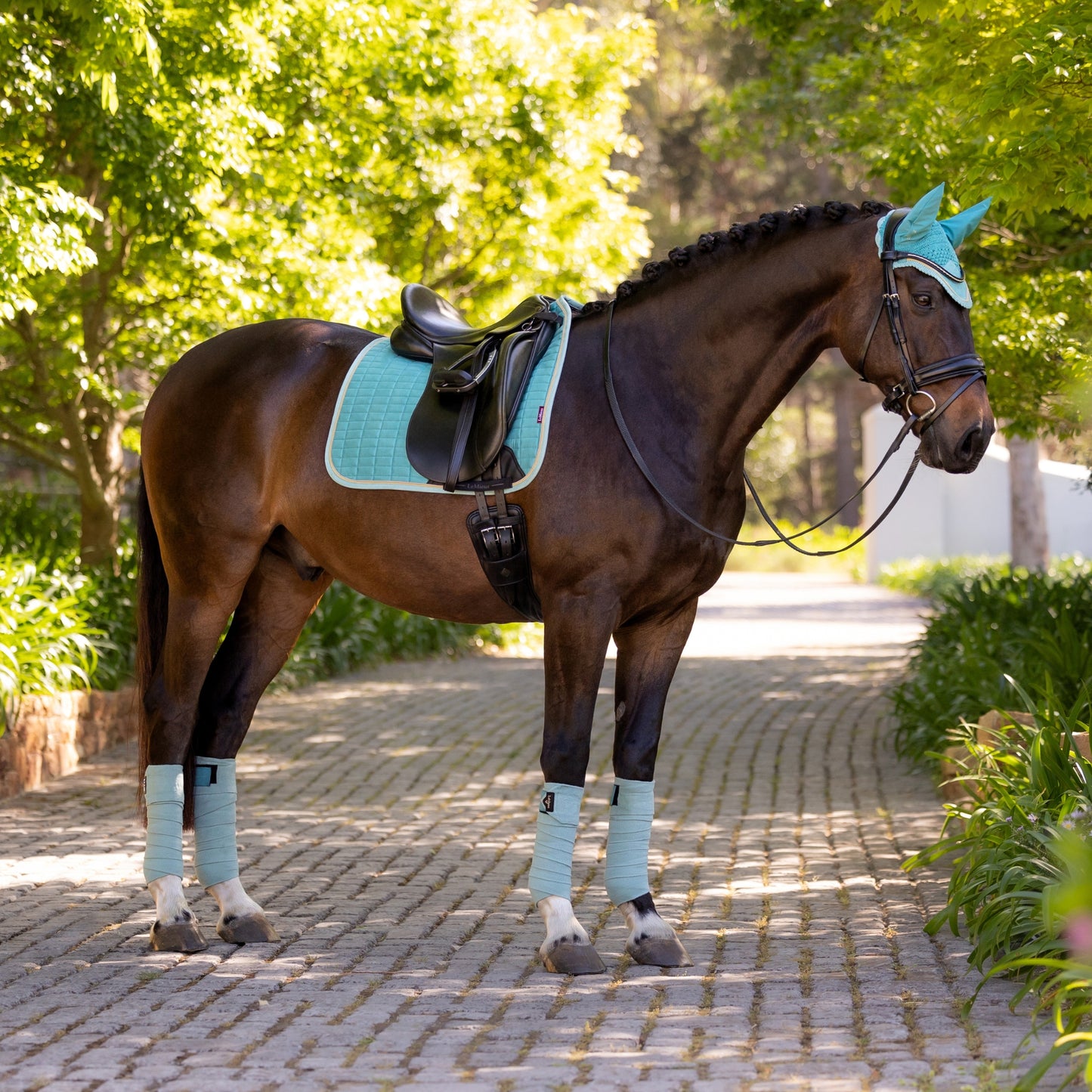 LeMieux Classic Fly Hood