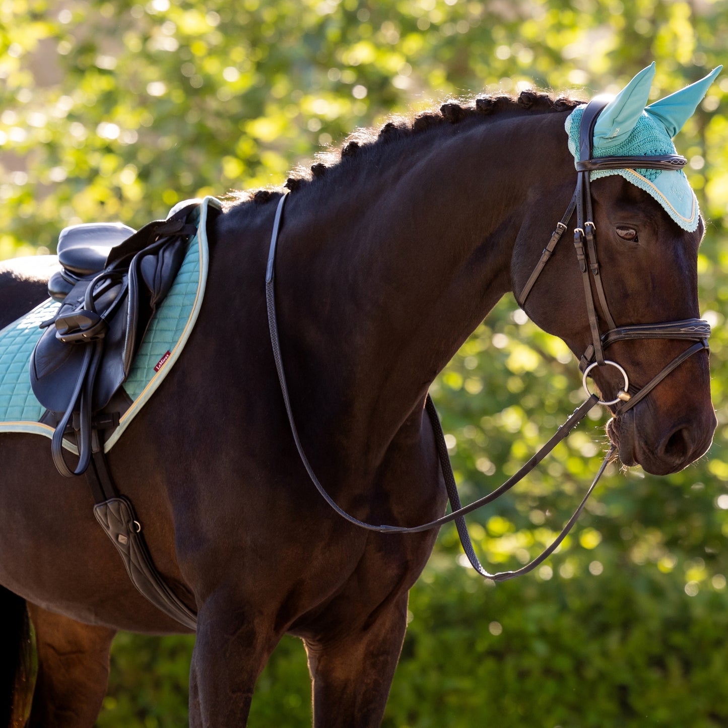 LeMieux Classic Fly Hood