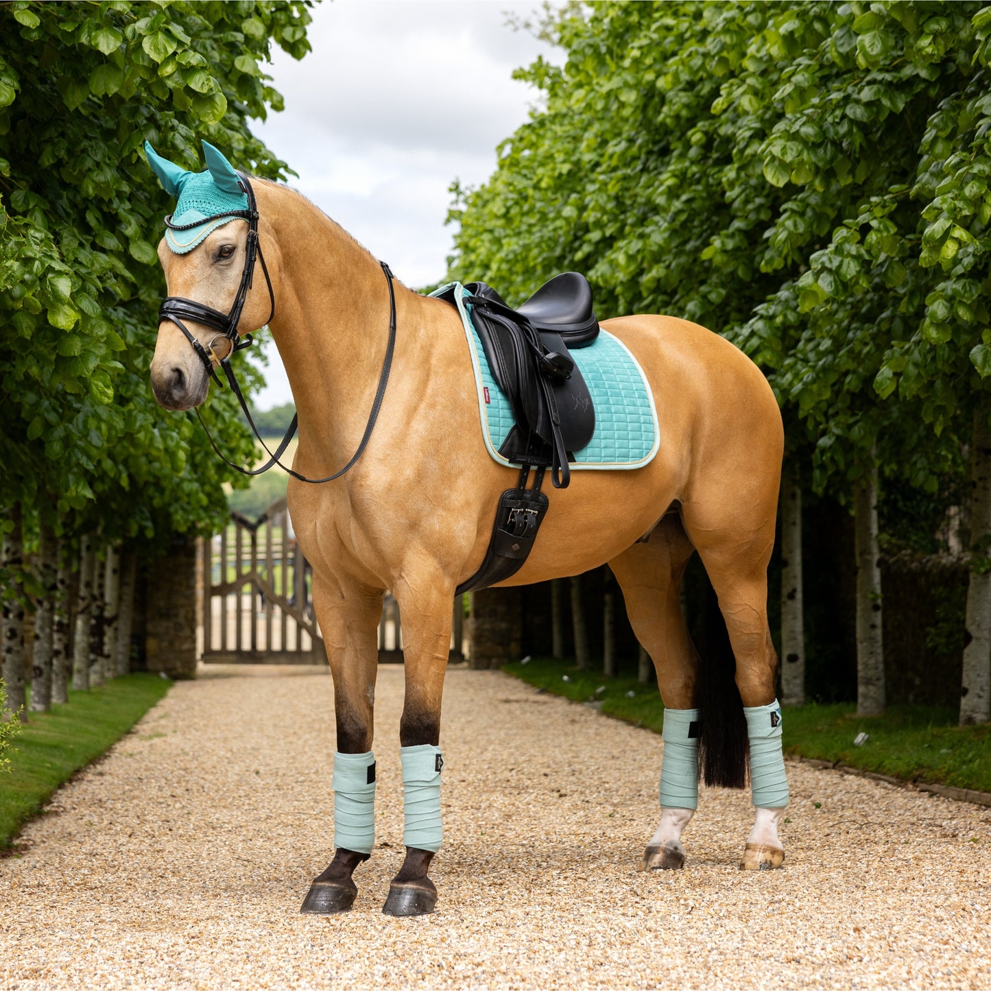 LeMieux Classic Fly Hood