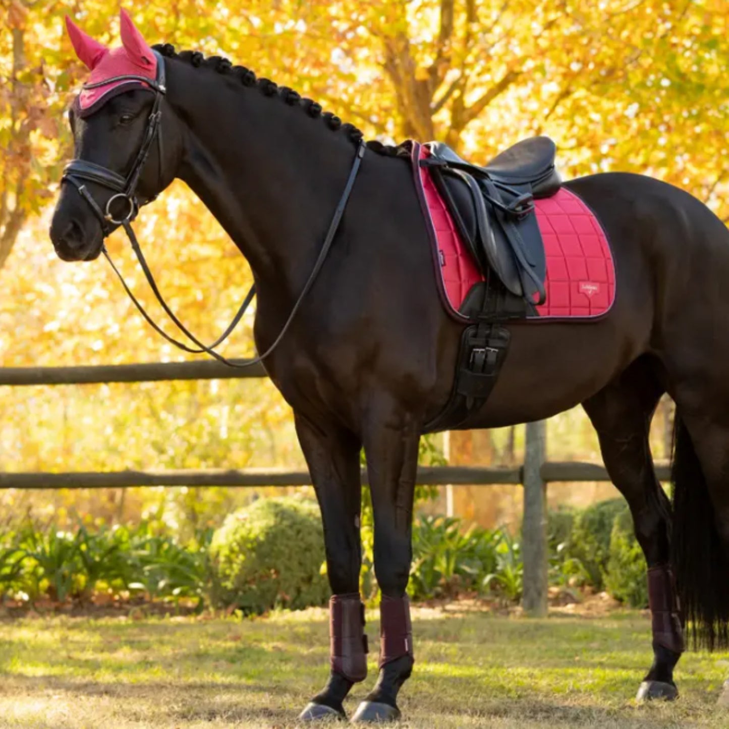 LeMieux Loire Classic Satin Square Dressage Saddle Pad