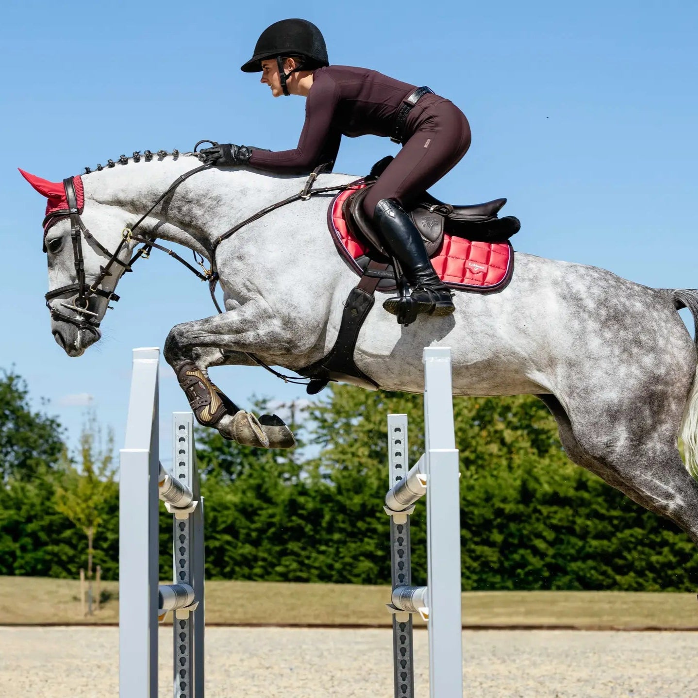 LeMieux Loire Classic Fly Hood