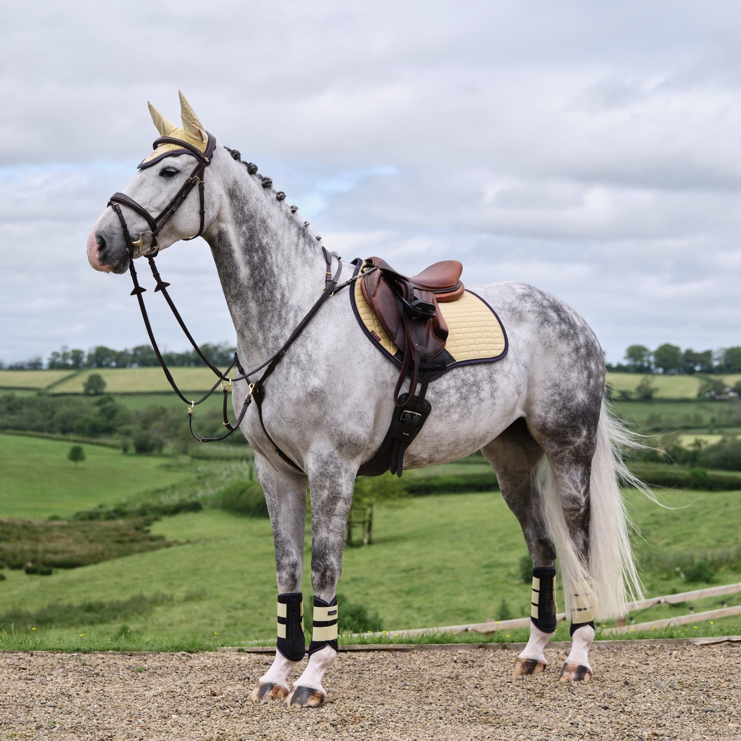 LeMieux Classic Fly Hood