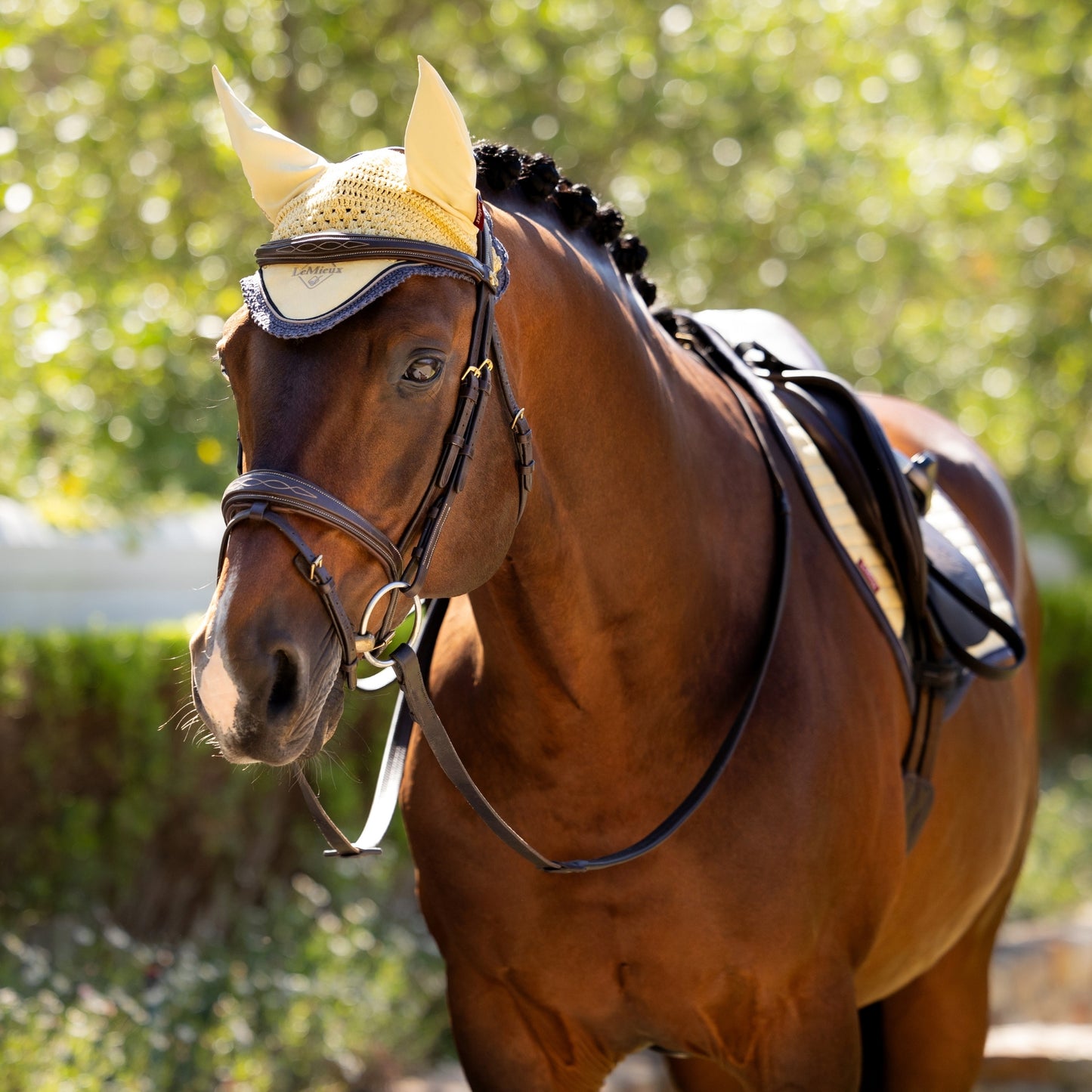 LeMieux Classic Fly Hood