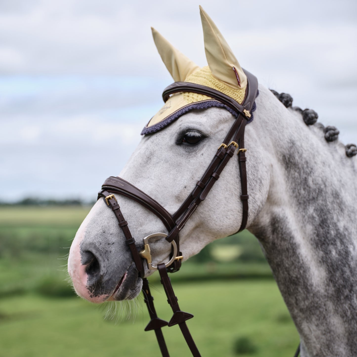 LeMieux Classic Fly Hood