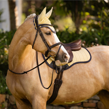 LeMieux Classic Fly Hood