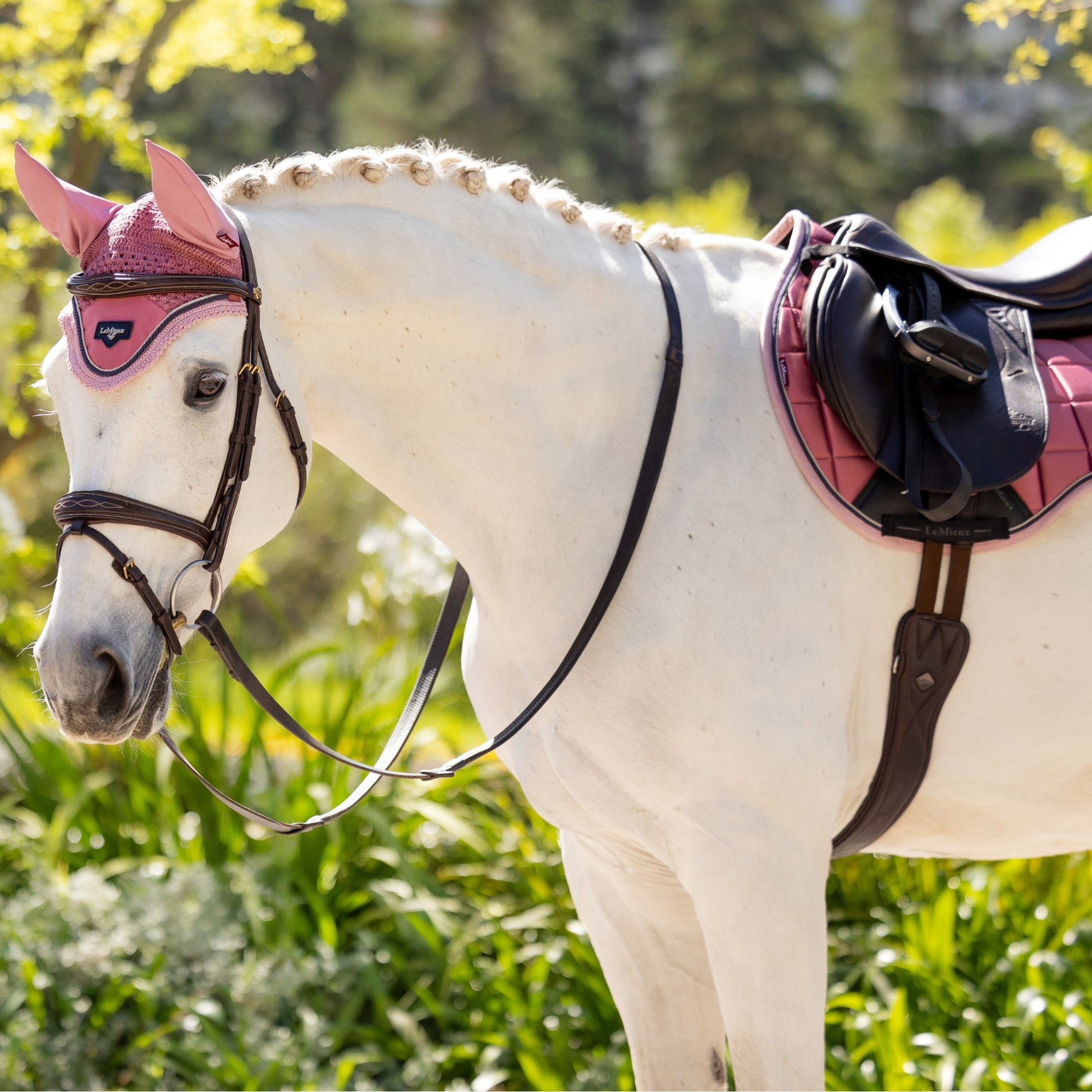 LeMieux Loire Classic Square Close Contact Saddle Pad - EQ Saddlery