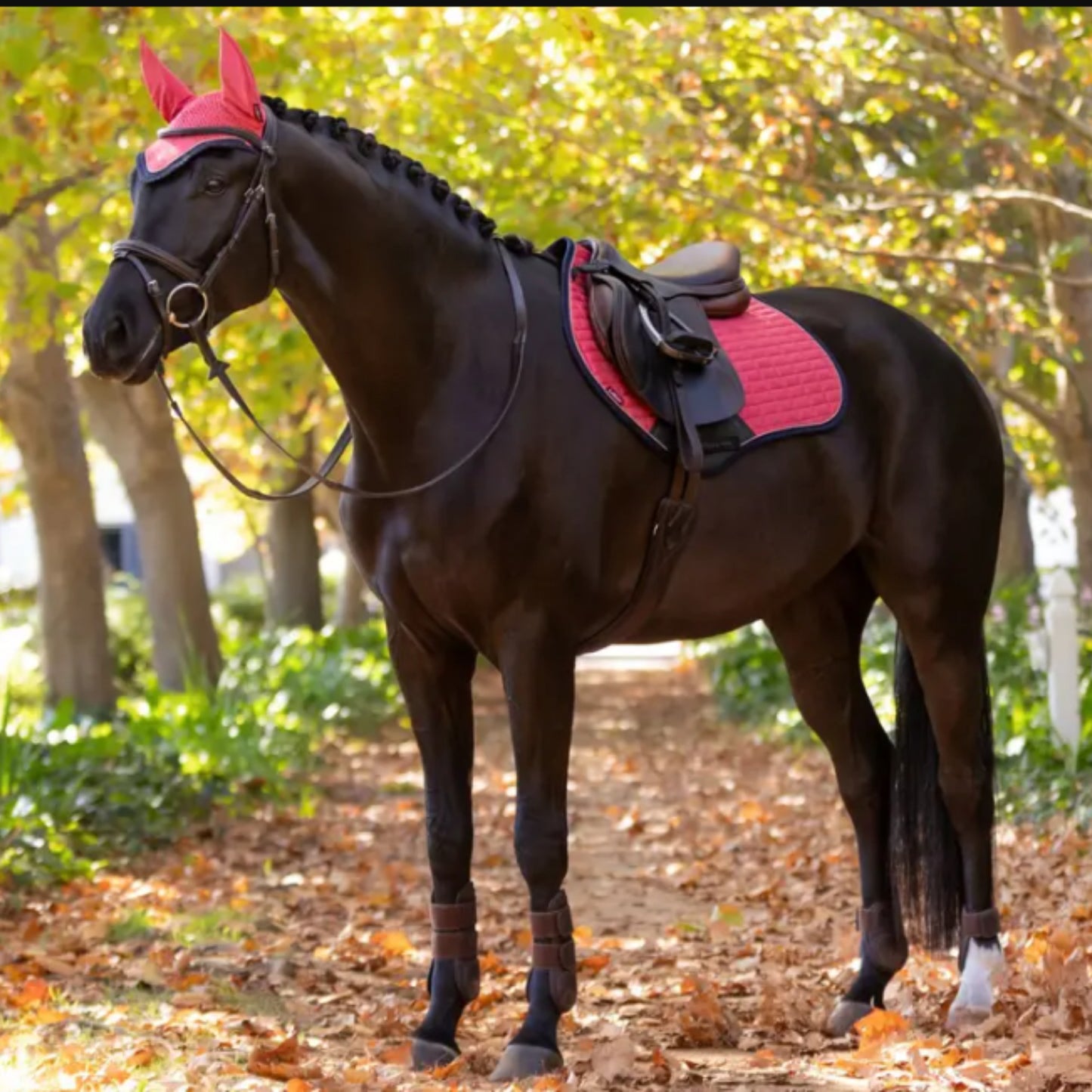 LeMieux Suede Square Close Contact Saddle Pad