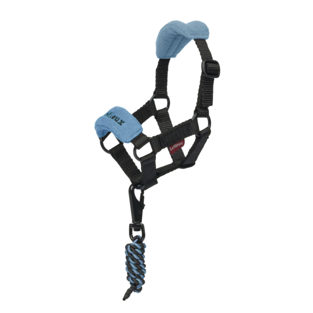 LeMieux Toy Pony Headcollar