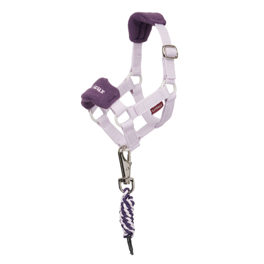 LeMieux Toy Pony Vogue Headcollar and Leadrope
