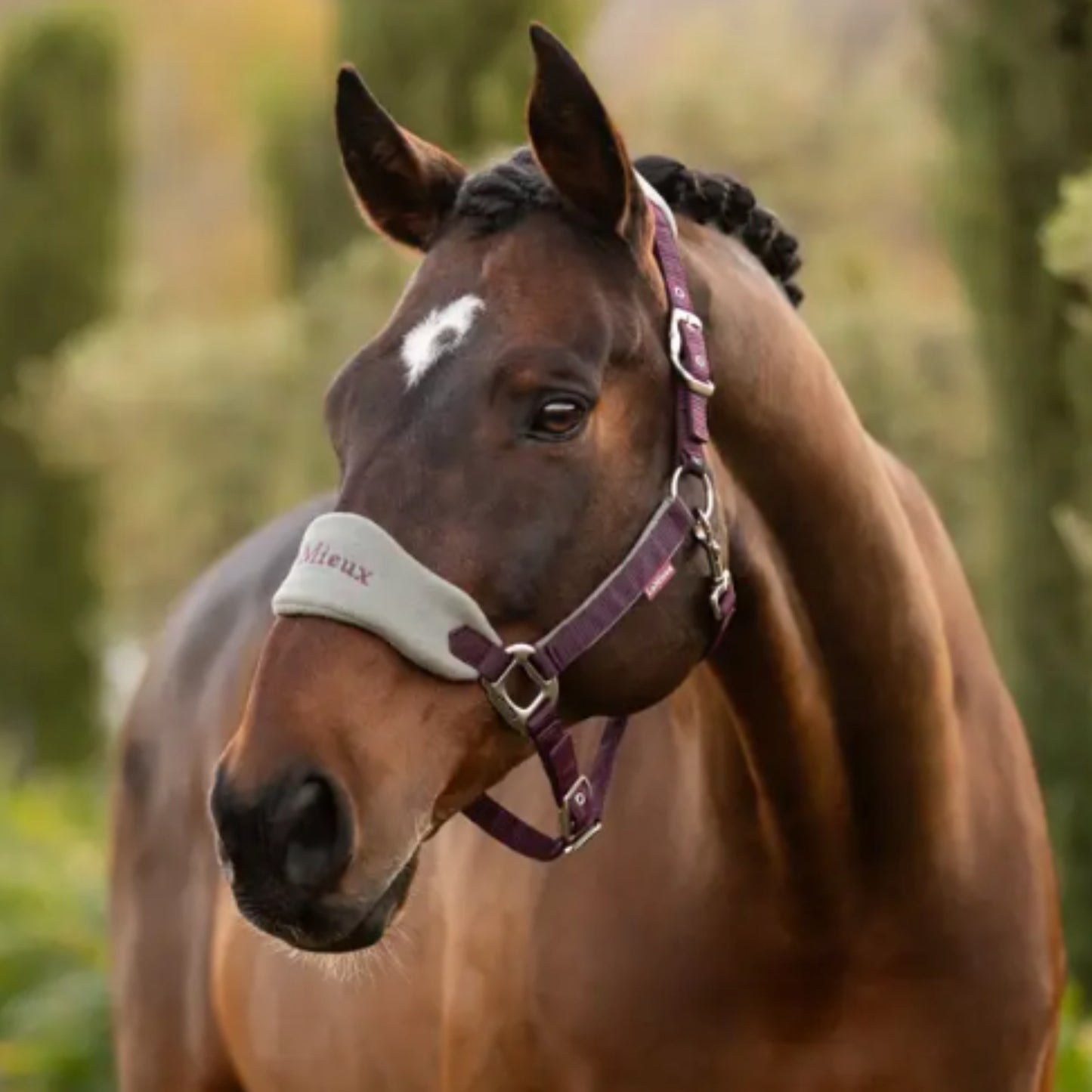LeMiuex Vogue Headcollar and Leadrope