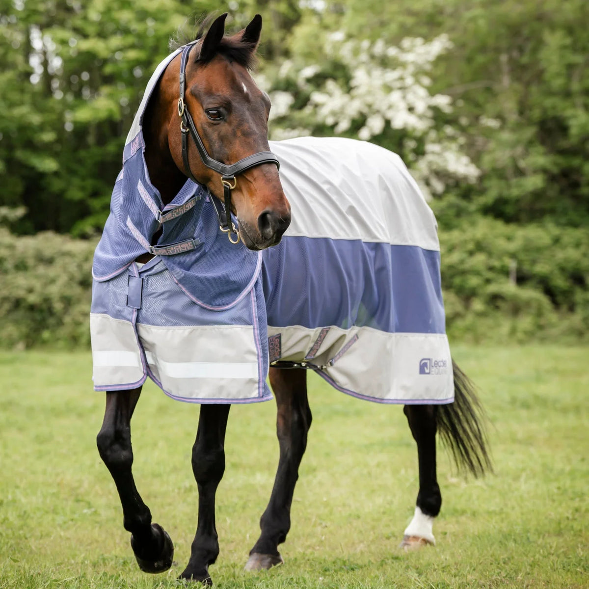 LE Hybrid Mack Turnout 0g Rug