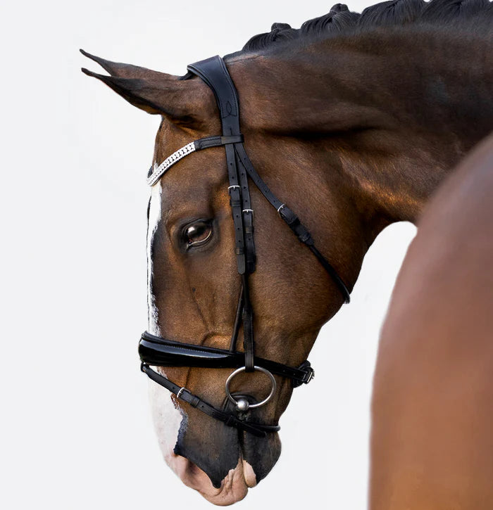 Lumi Pony Amie Hanoverian Rolled Leather Bridle - EQ Saddlery