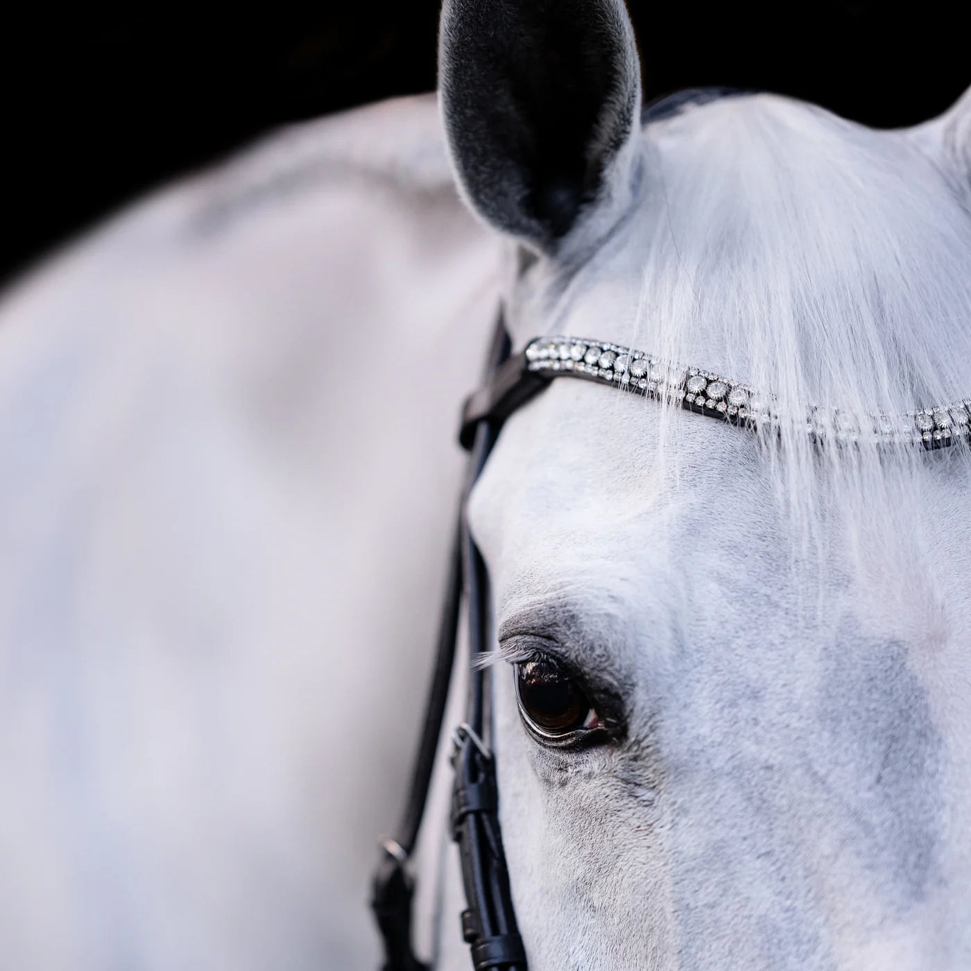 Lumi Pony Amie Hanoverian Rolled Leather Bridle - EQ Saddlery