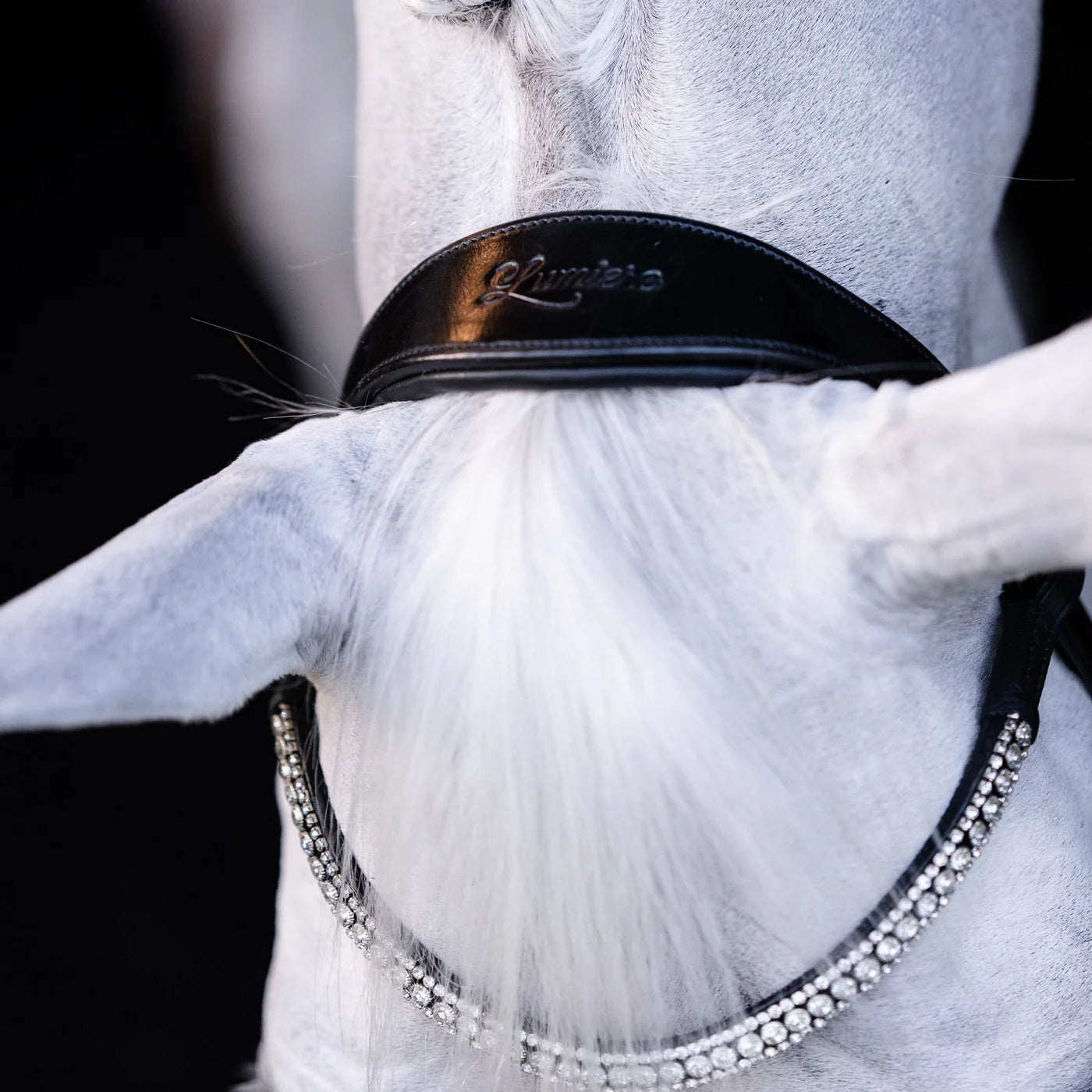 Lumi Pony Amie Hanoverian Rolled Leather Bridle - EQ Saddlery