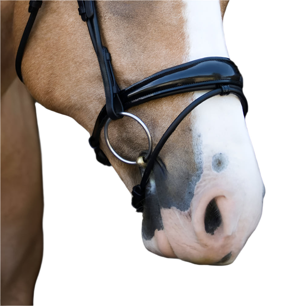 Lumi Pony Amie Hanoverian Rolled Leather Bridle - EQ Saddlery