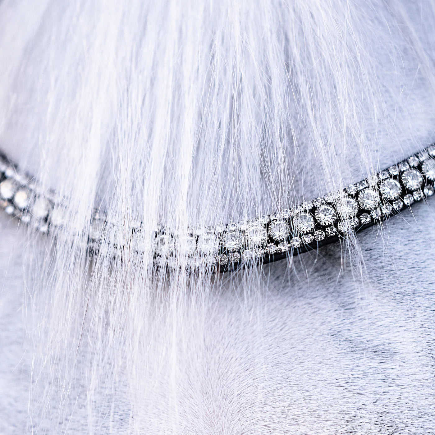 Lumi Pony Amie Hanoverian Rolled Leather Bridle - EQ Saddlery