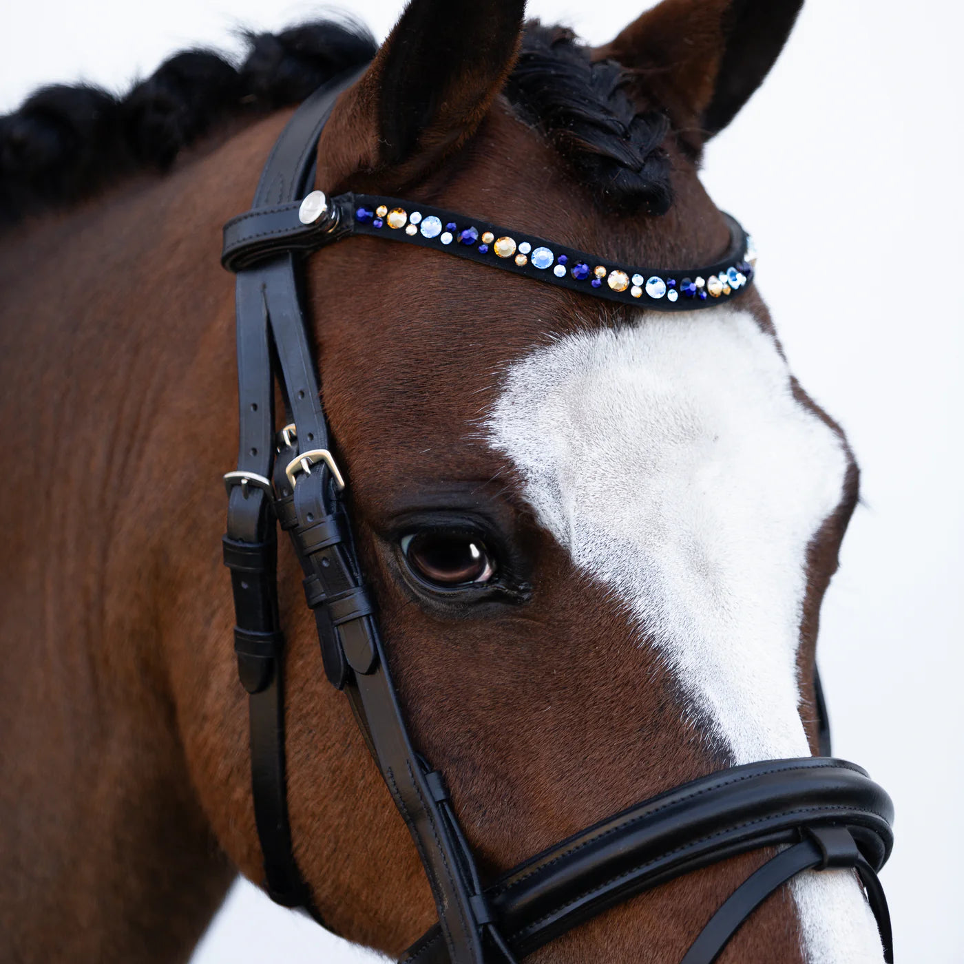 Lumi Pony Demi Hanoverian Bridle - EQ Saddlery
