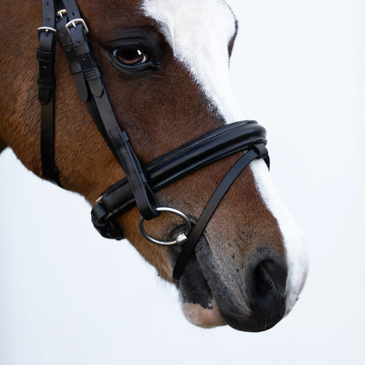 Lumi Pony Demi Hanoverian Bridle - EQ Saddlery