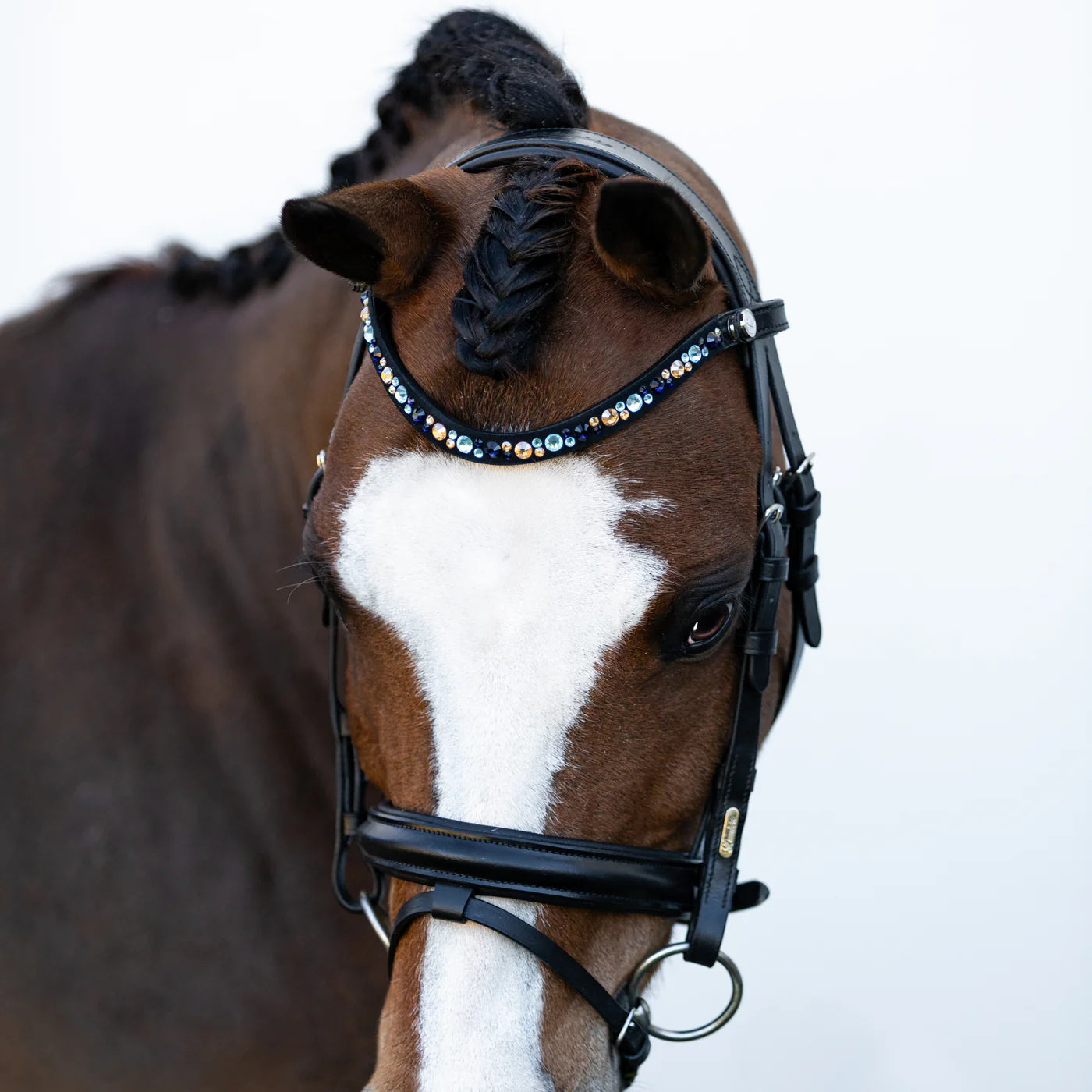 Lumi Pony Demi Hanoverian Bridle - EQ Saddlery