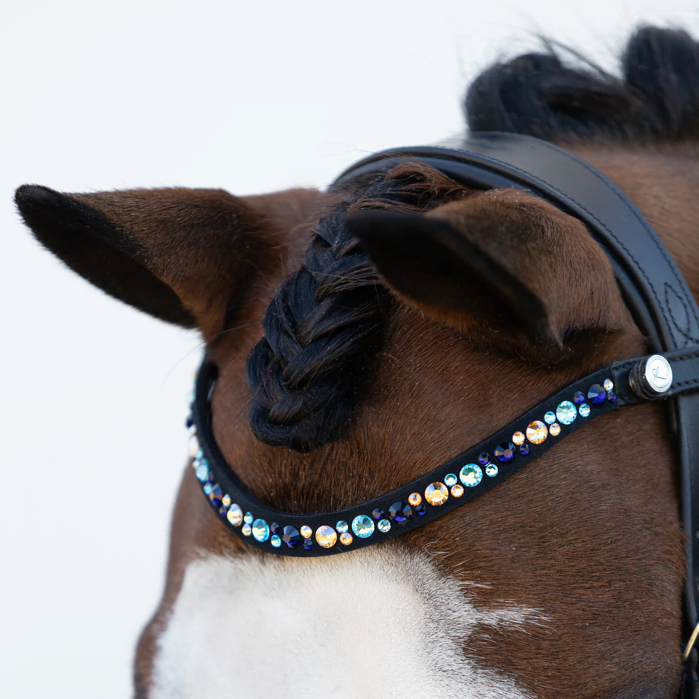 Lumi Pony Demi Hanoverian Bridle - EQ Saddlery