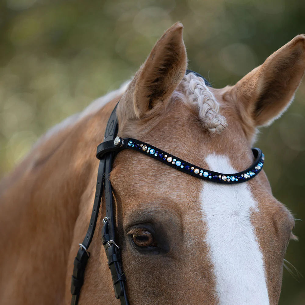 Lumi Pony Demi Hanoverian Bridle - EQ Saddlery