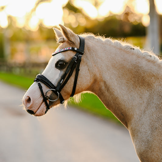 Lumi Pony Unicorn Bridle - EQ Saddlery