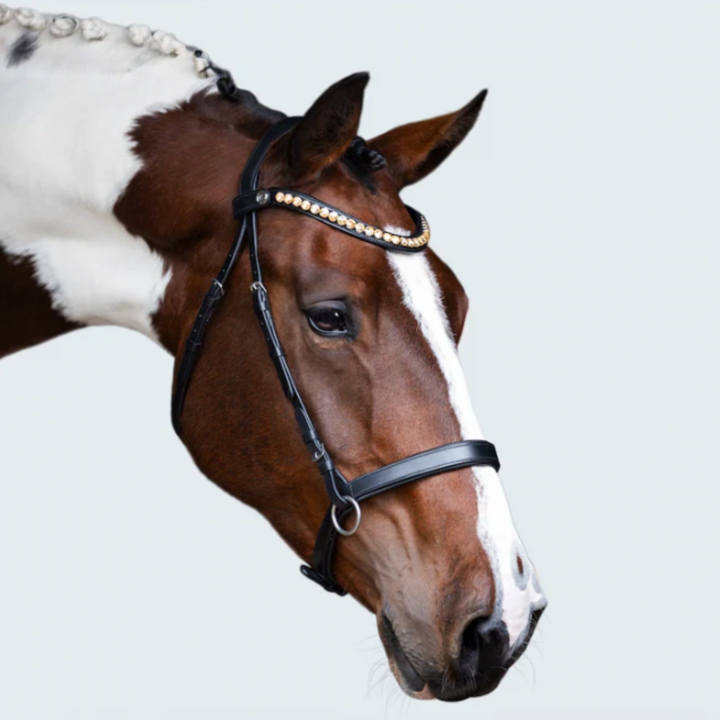 Lumiere Seline Bitless Bridle - EQ Saddlery