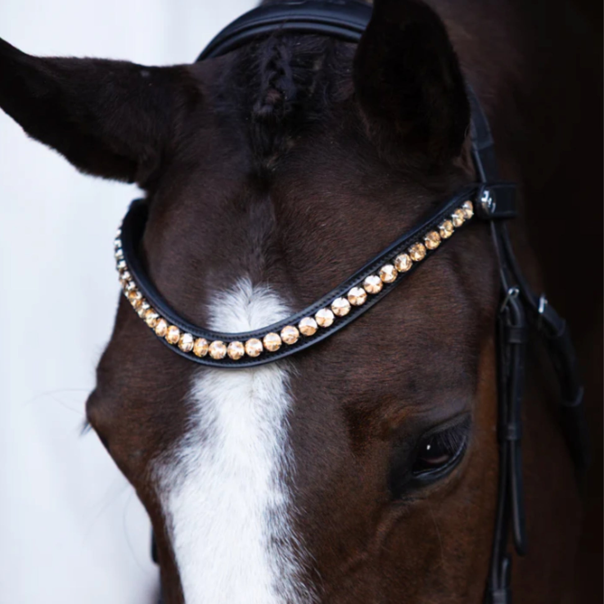 Lumiere Seline Bitless Bridle - EQ Saddlery