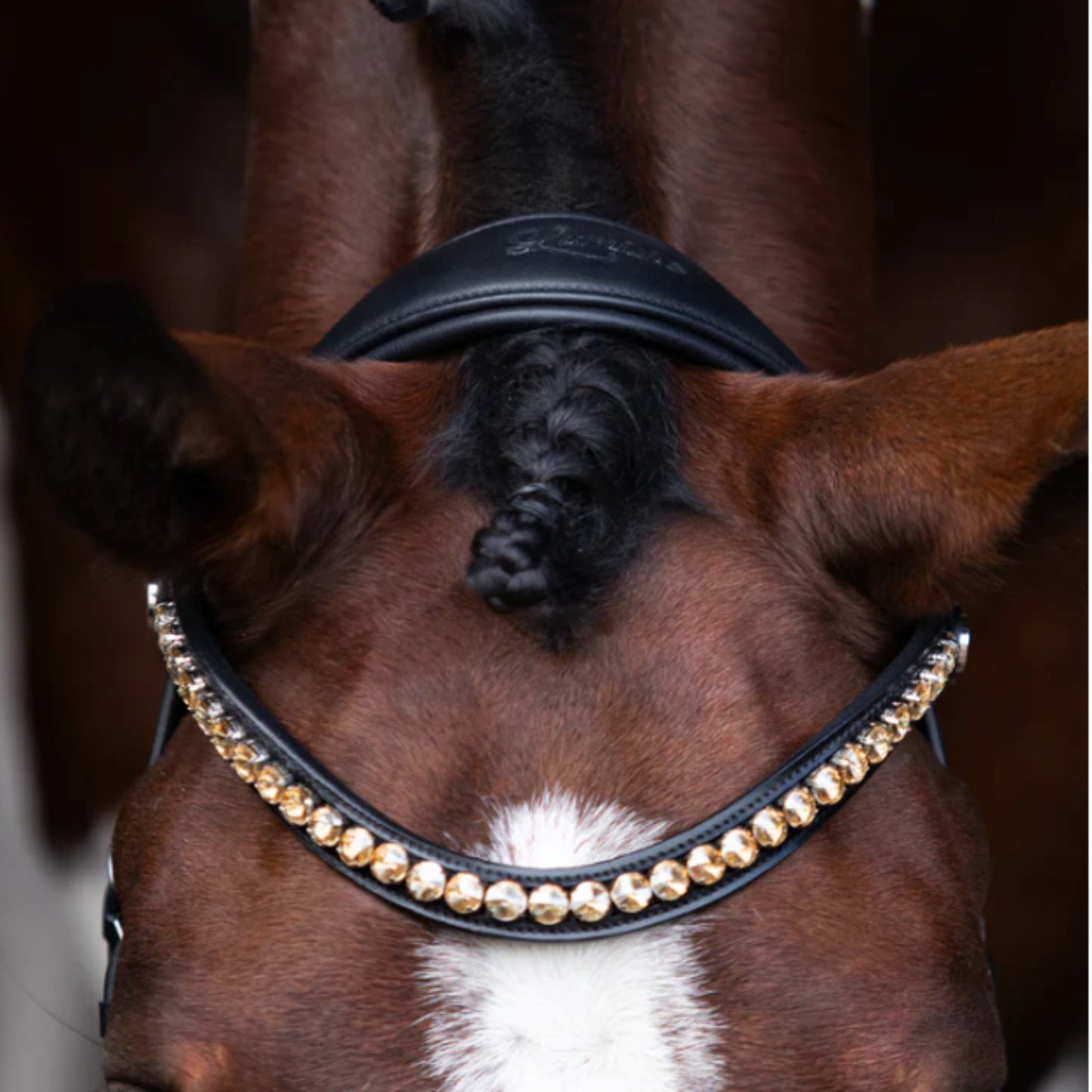Lumiere Seline Bitless Bridle - EQ Saddlery