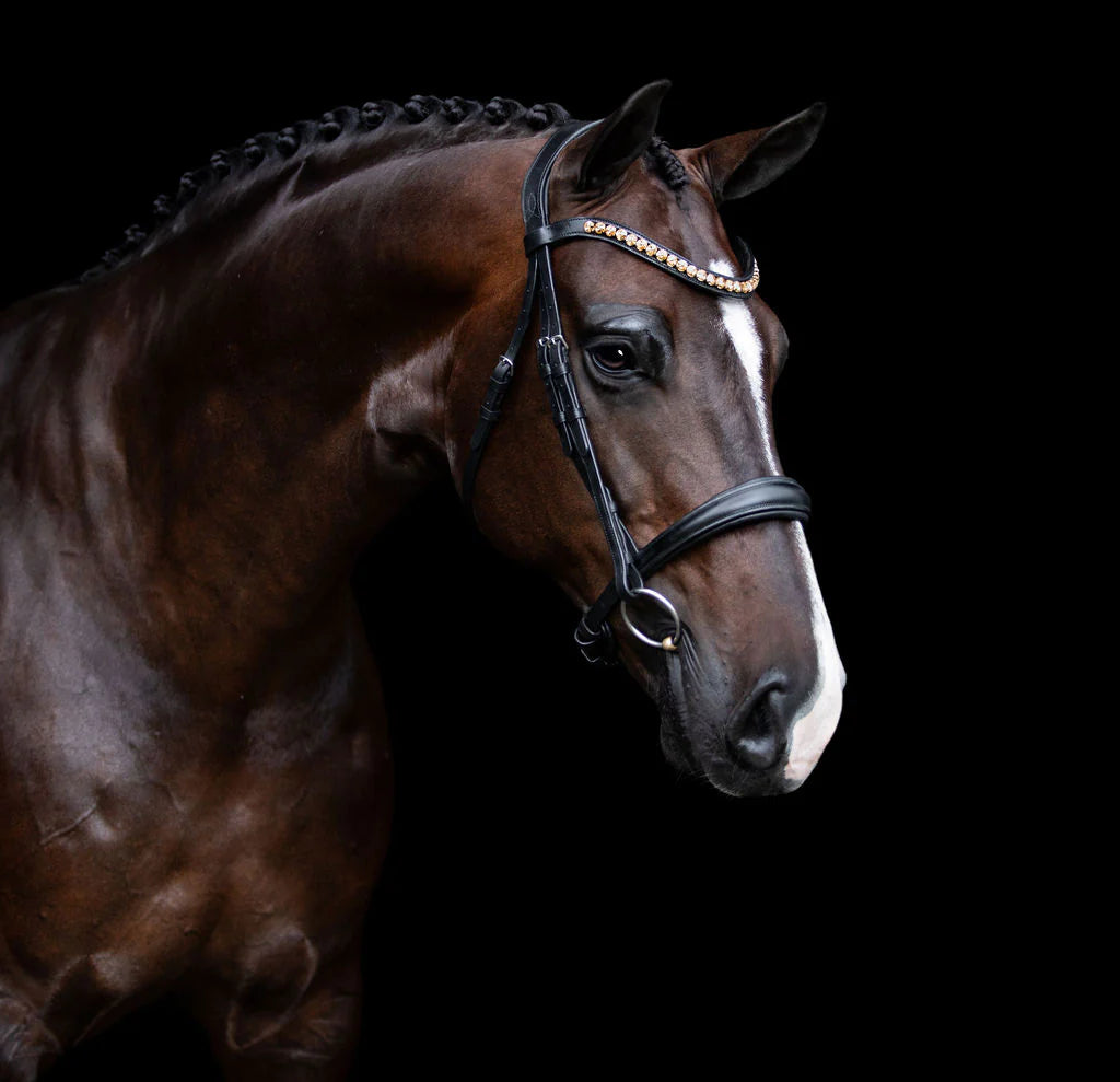 Lumiere Athens Cavesson Leather Bridle - EQ Saddlery