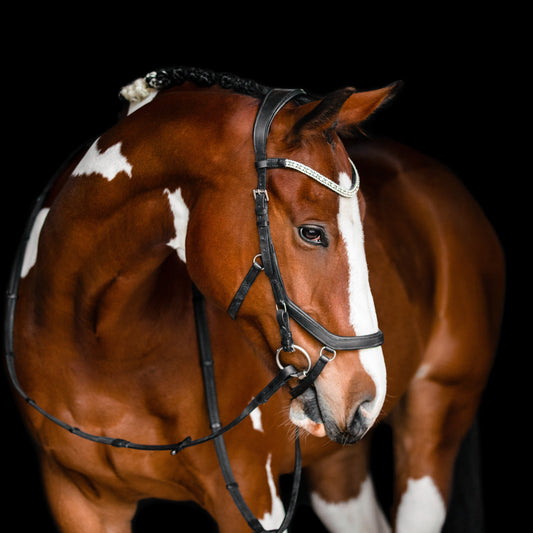 Lumiere Azure Anatomic Bridle - EQ Saddlery