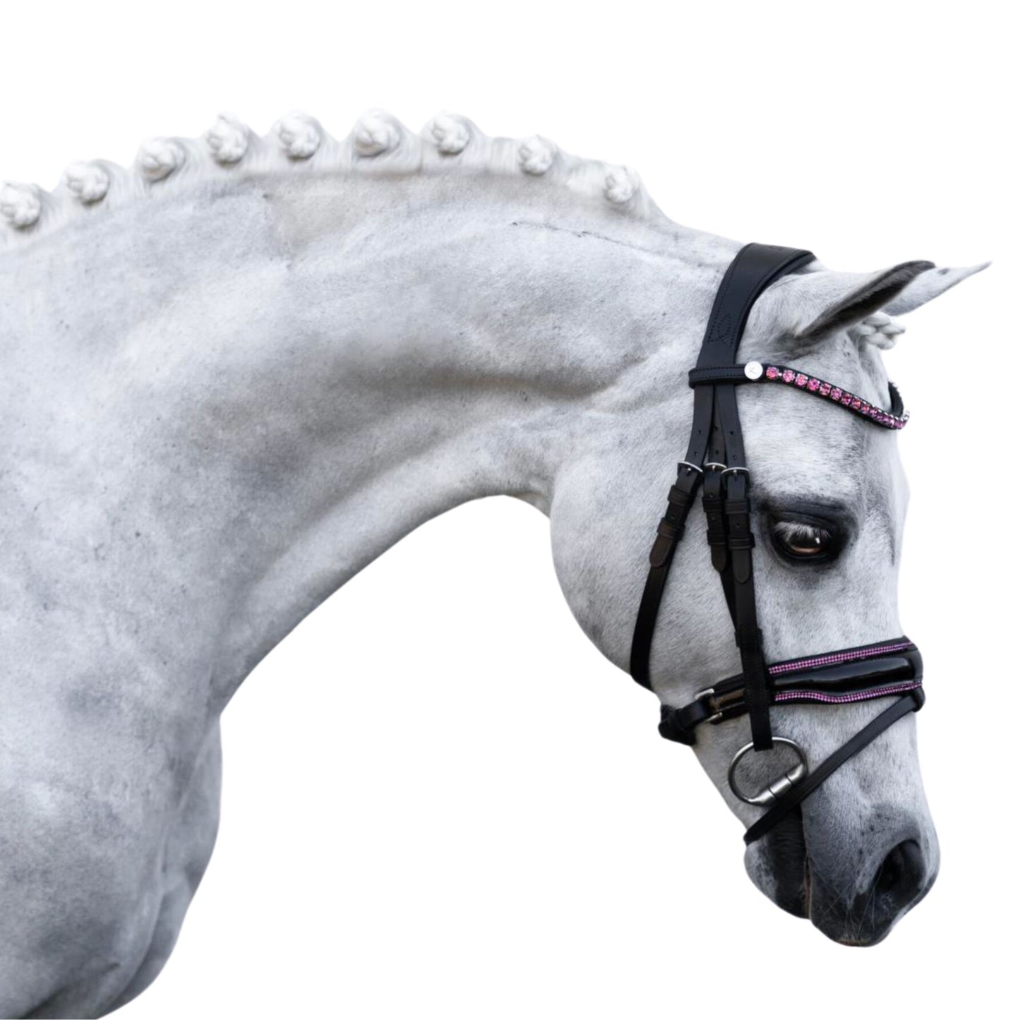 Lumi Pony Fairyfloss Bridle - EQ Saddlery
