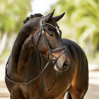 Lumiere Megan Convertible Bridle
