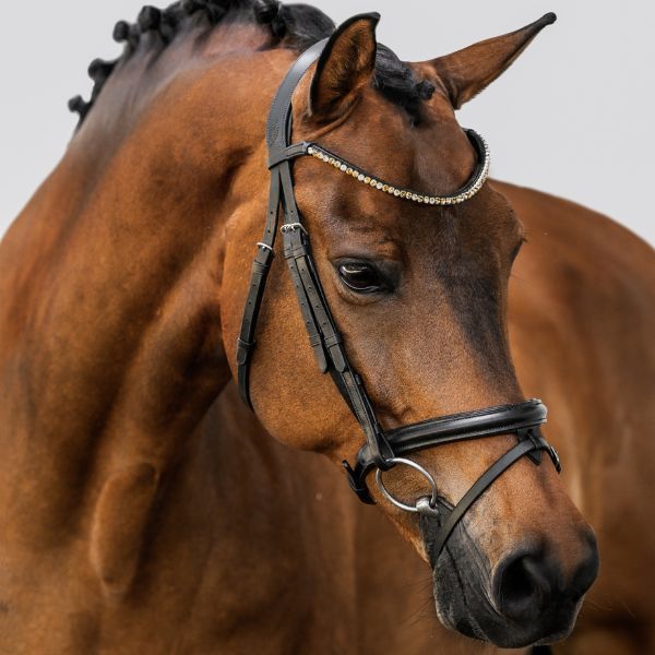 Lumiere Megan Convertible Bridle