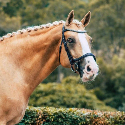 Lumiere Mila Anatomic Bridle