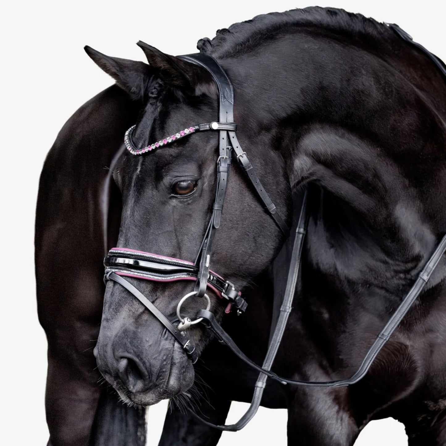 Lumiere Paloma Hanoverian Bridle