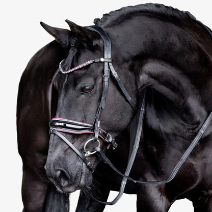 Lumiere Paloma Hanoverian Bridle