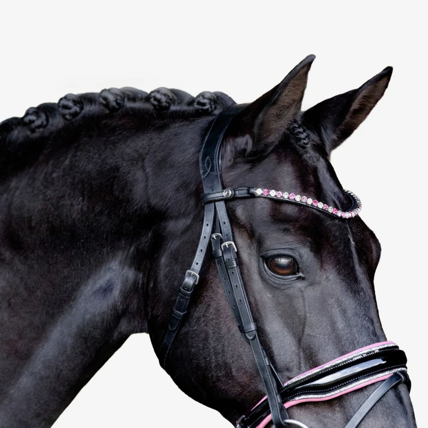 Lumiere Paloma Hanoverian Bridle