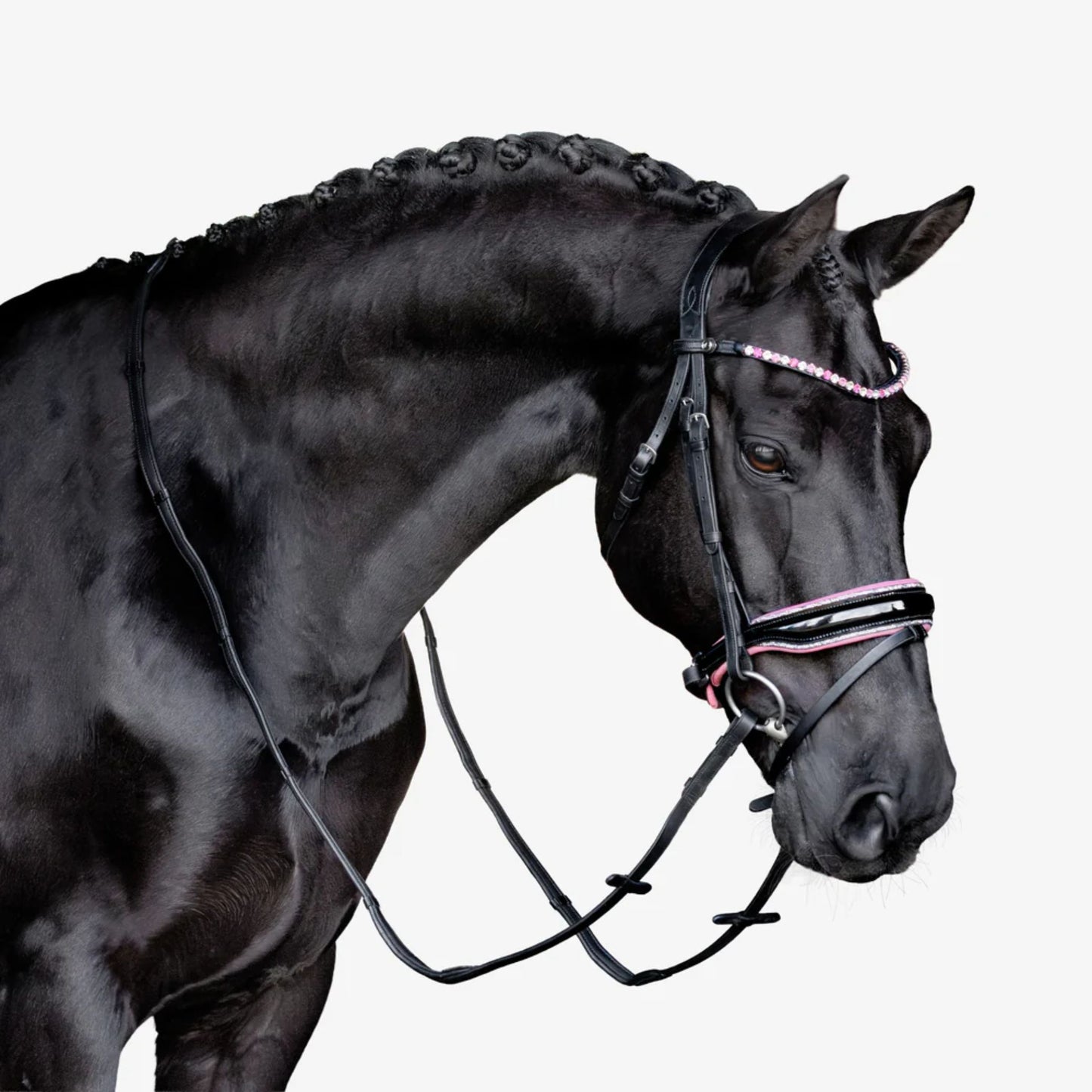 Lumiere Paloma Hanoverian Bridle