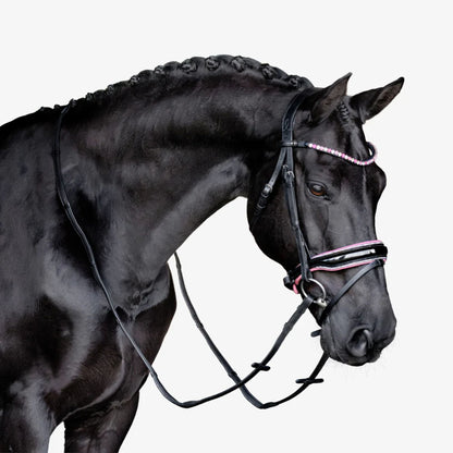 Lumiere Paloma Hanoverian Bridle