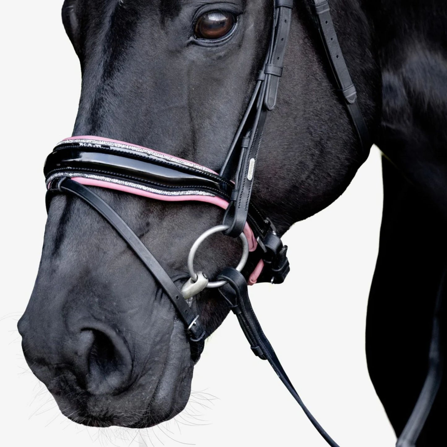 Lumiere Paloma Hanoverian Bridle