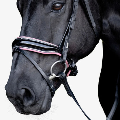 Lumiere Paloma Hanoverian Bridle