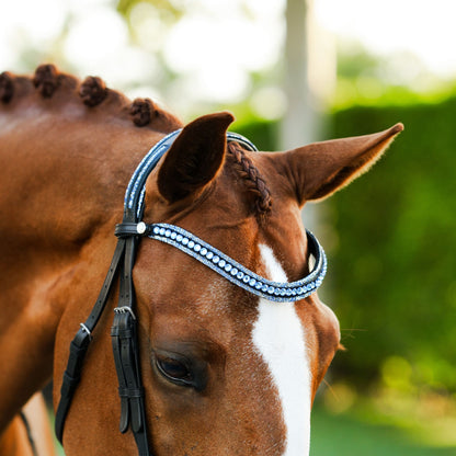 Lumiere Paris Hanoverian Bridle