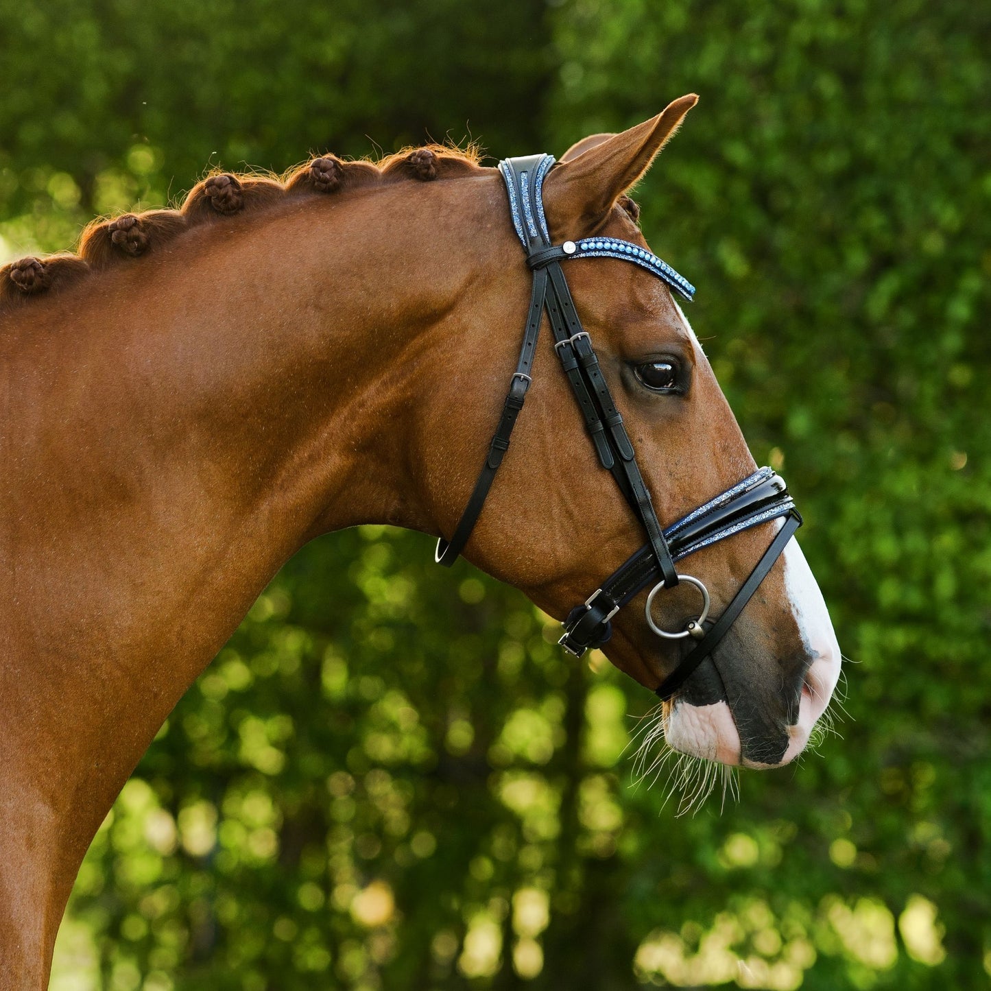 Lumiere Paris Hanoverian Bridle