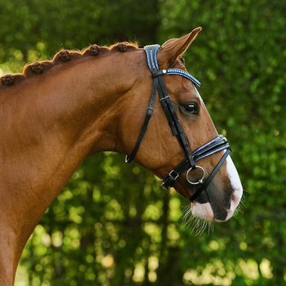 Lumiere Paris Hanoverian Bridle