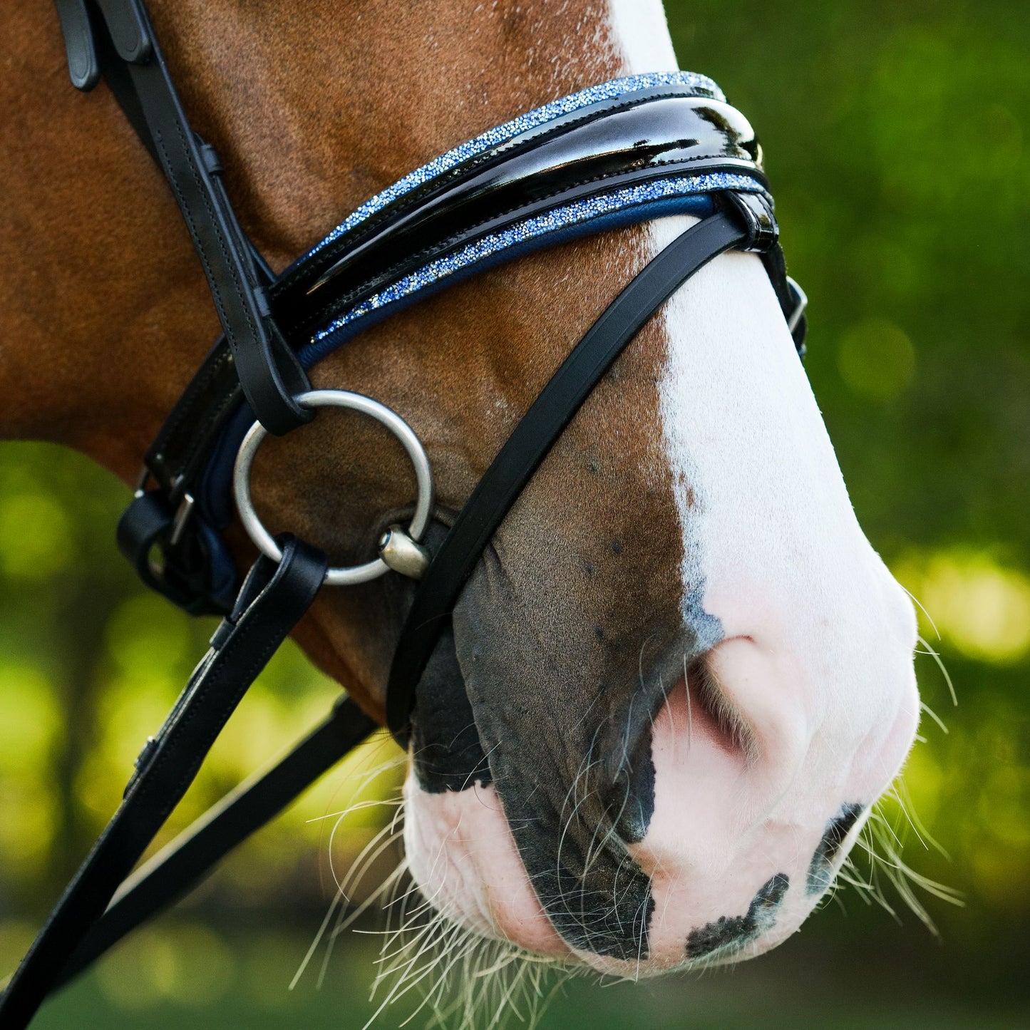 Lumiere Paris Hanoverian Bridle