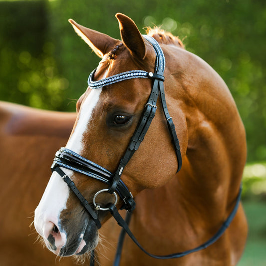 Lumiere Paris Hanoverian Bridle